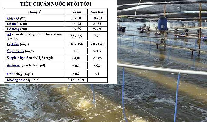 Bảng tiêu chuẩn thông số nước hồ tôm