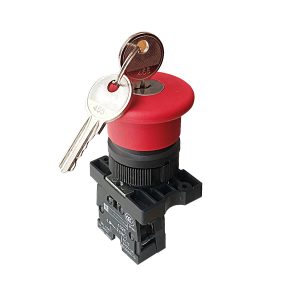 Công tắc khẩn cấp chìa khóa